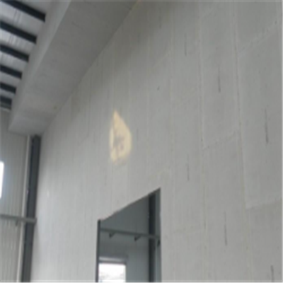 施甸新型建筑材料掺多种工业废渣的ALC|ACC|FPS模块板材轻质隔墙板
